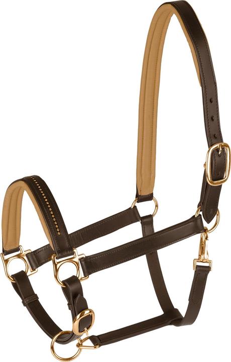Waldhausen Licol en cuir Diamond