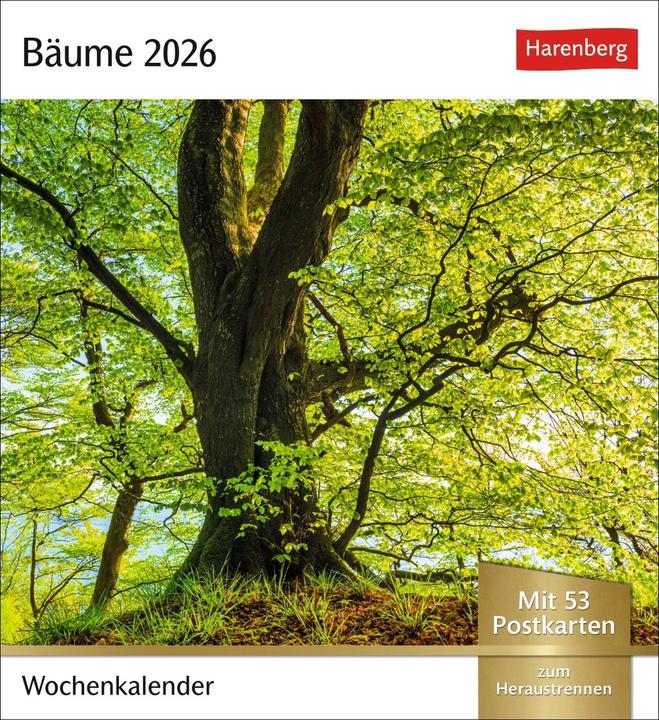 Actual product image Harenberg Bäume Postkartenkalender 2026 - Wochenkalender mit 53 Postkarten (German)