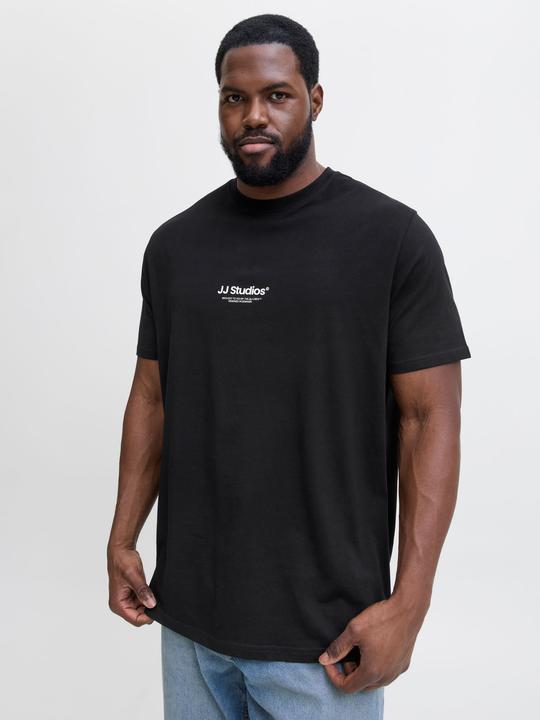 Actual product image Jack & Jones Jjesoho Tee Ss Crew Neck Noos Pls (4XL)