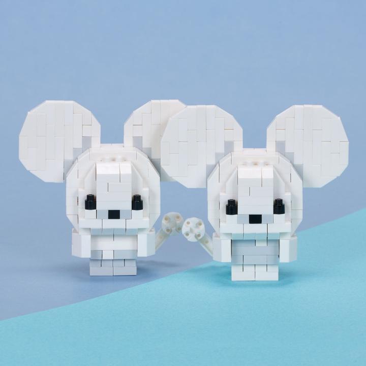 Actual product image Pokémon Nanoblock tandem