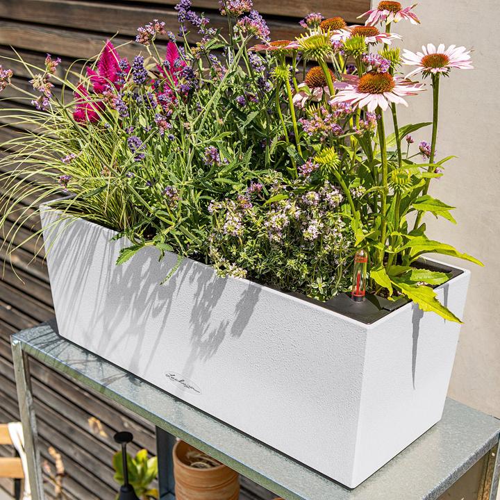 Image du produit Lechuza Jardinière (79 x 19 x 19 cm)