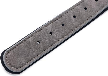 Produktbild Beeztees Bz Balacron Halsband Ax Grau 4 (47, 48, 49, 50, 52, 54, 56, Hund, Allgemein)