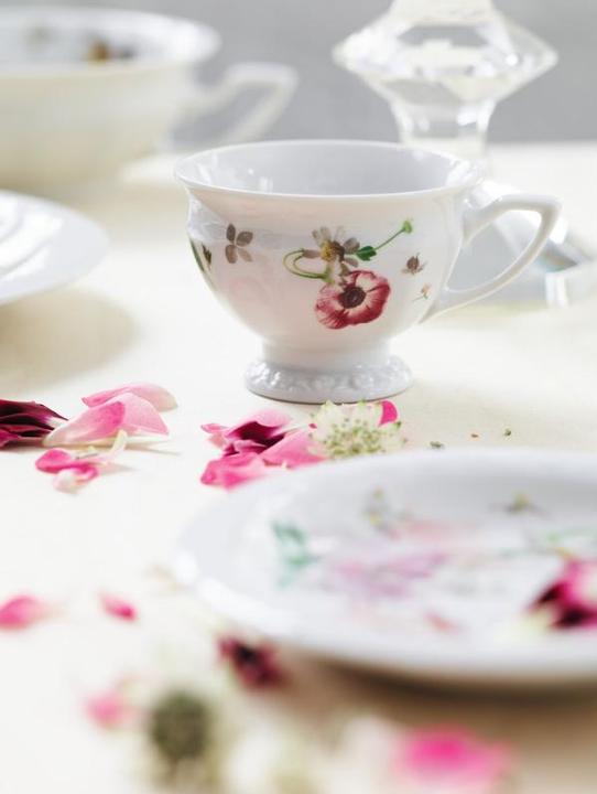 Immagine prodotto Rosenthal Maria Rosa (180 ml, 1x)