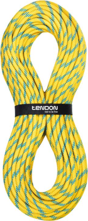 Image du produit Tendon Corde statique SECURE 110