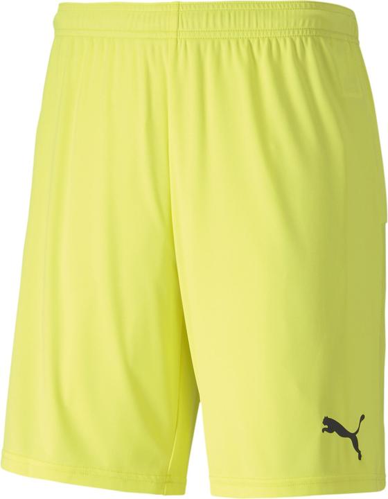 Actual product image Puma teamGOAL 23 knit shorts-704262 (M)