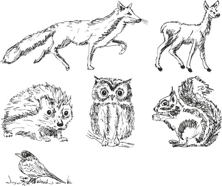 Immagine prodotto Heyda Waldtiere