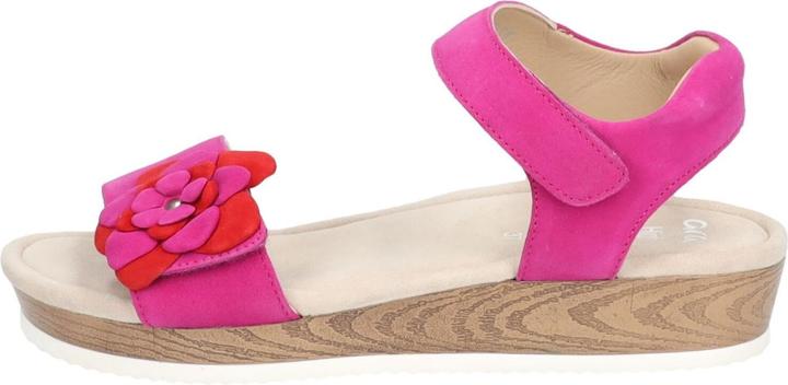 Immagine prodotto Ara 3624325 (39)