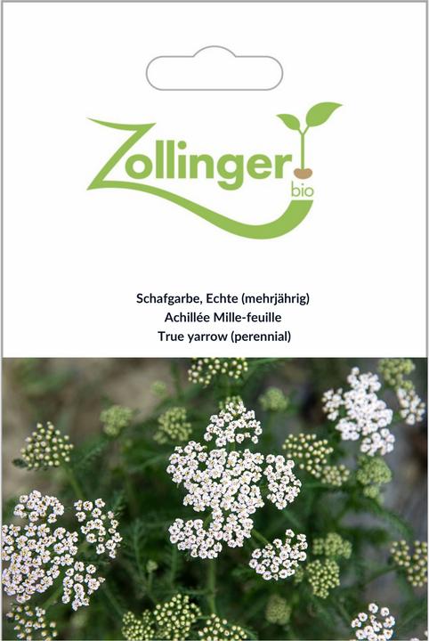 Produktbild Zollinger Bio Schafgarbe, Echte (mehrjährig)
