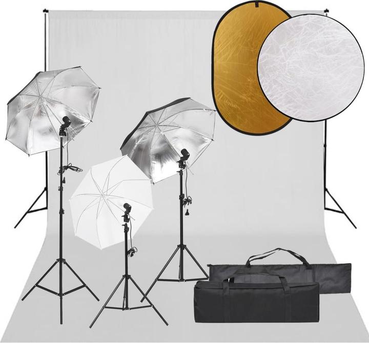 Immagine prodotto vidaXL Facchino (300 cm, 210 cm)