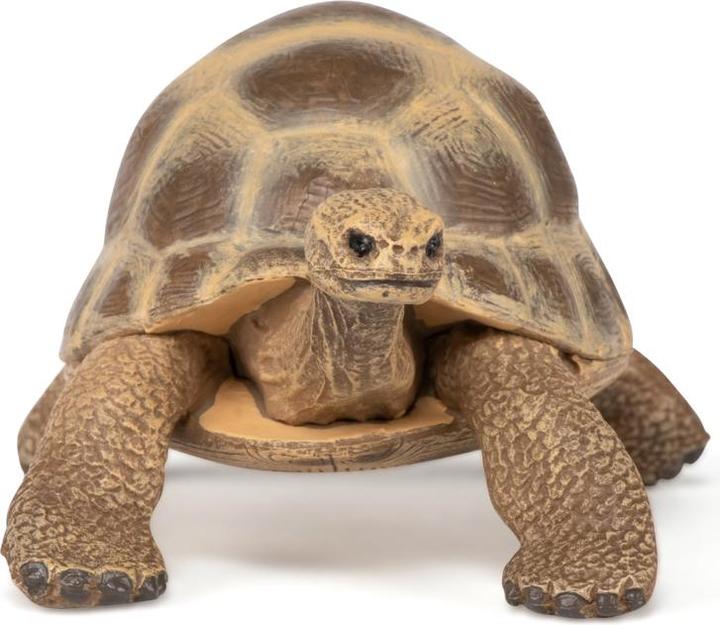 Immagine prodotto Papo Tartaruga di Hermann