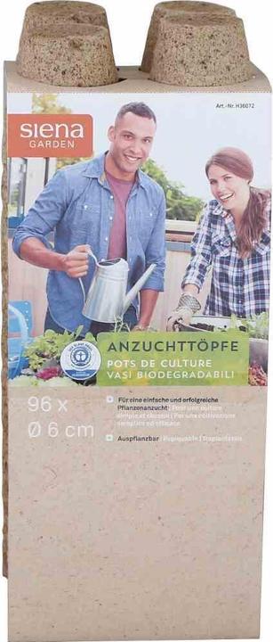 Siena Garden hatchery