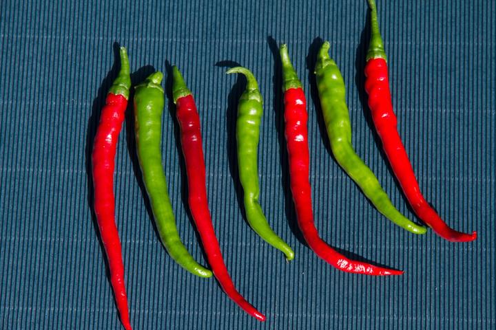 Produktbild Zollinger Bio Chili, Cayenne (Samenbomben)