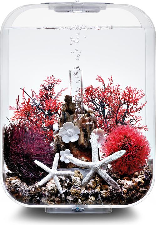 Productafbeelding Oase biOrb Aquarium 15 Decoratieset (Decoratie, Andere objecten)