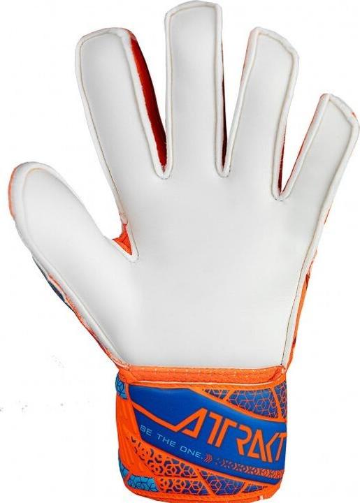 Image du produit Reusch Attrakt Solid