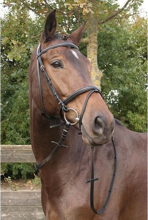 Produktbild Harry's Horse Bronze