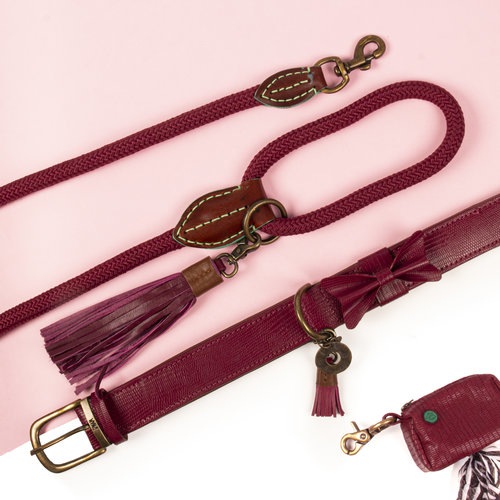 Produktbild Dog with a mission Halsband Bonnie, XXL, 4 cm (XXL, Hund, Allgemein)