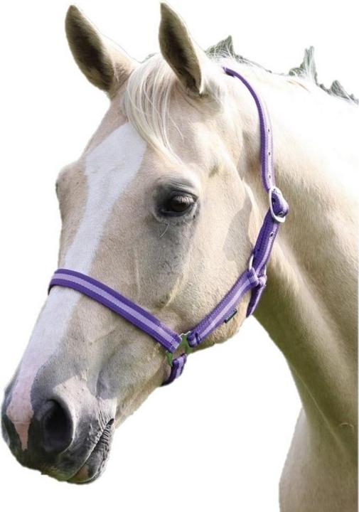 Produktbild Pferdehalfter