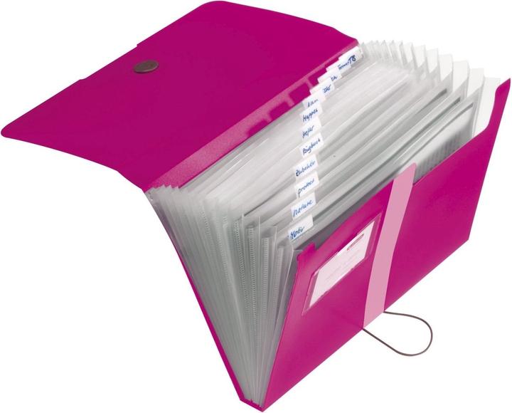 Actual product image Herlitz Fan folder (A4, 1 x)