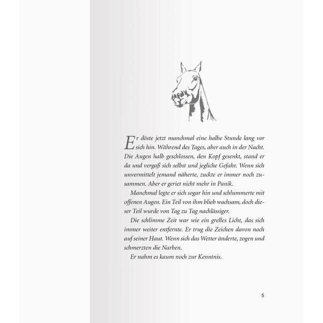 Thumbnail - Pferdeflüsterer-Academy, Band 9: Cyprians Rückkehr, Kinderbücher von Gina Mayer