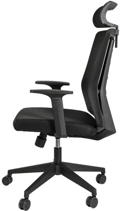 Immagine prodotto Contini ErgoFlex (47 - 53 cm)