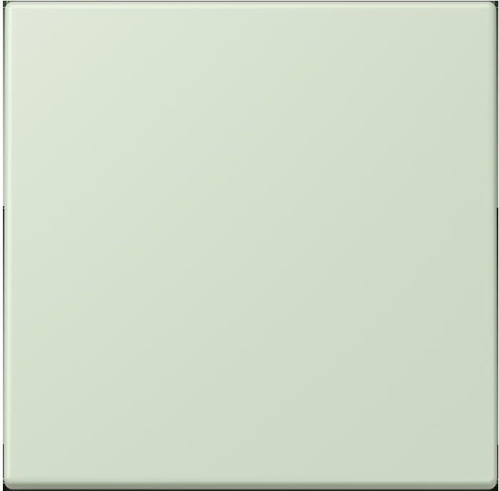 Actual product image JUNG Control button