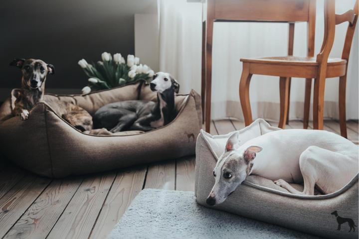 Produktbild Hunter Hundesofa Livingston webstoff (Hund)