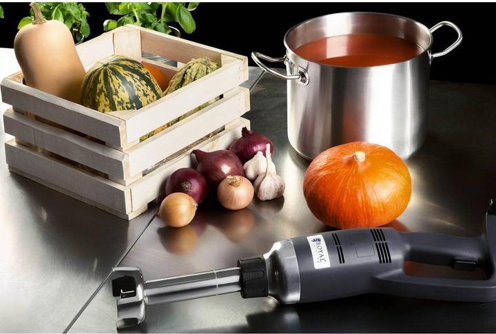 Produktbild Royal Catering Stabmixer Gastro 350 W Edelstahl Mixer Mixstab Pürierstab 16.000 U min 250 mm