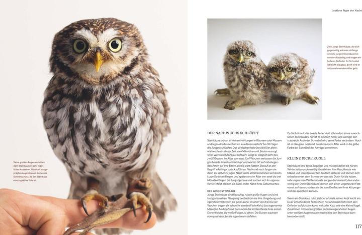 Produktbild Vom Schlüpfen bis zum ersten Flug (Deutsch, Tobias Lohf, 2021)