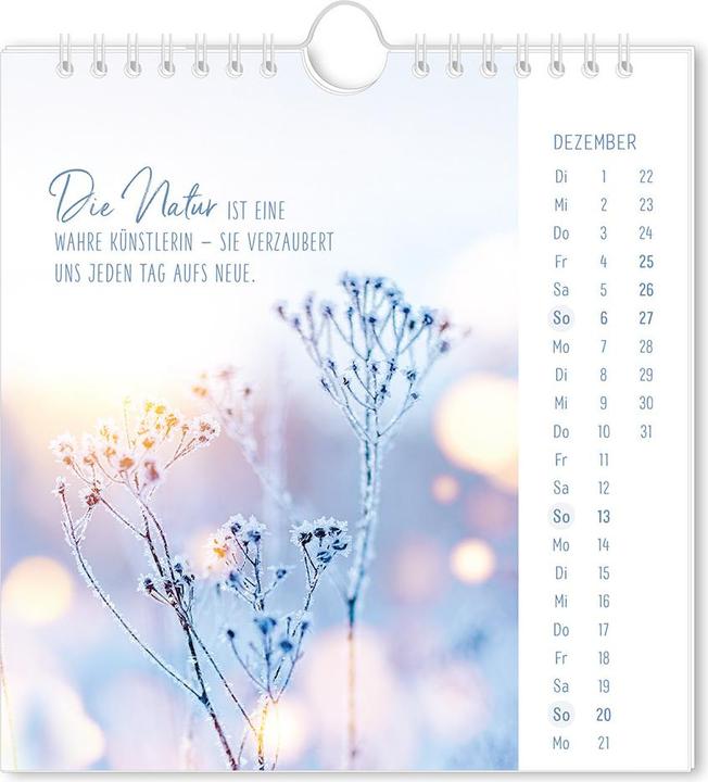 Immagine prodotto Postkartenkalender 2026 Lichtblicke (16 x 17 cm)