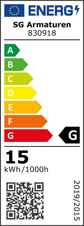 Etichetta energetica Sg Lampada LED a globo E27 G95 15W 3000K ws 830918 (E27, 1200 lm, 1 x)