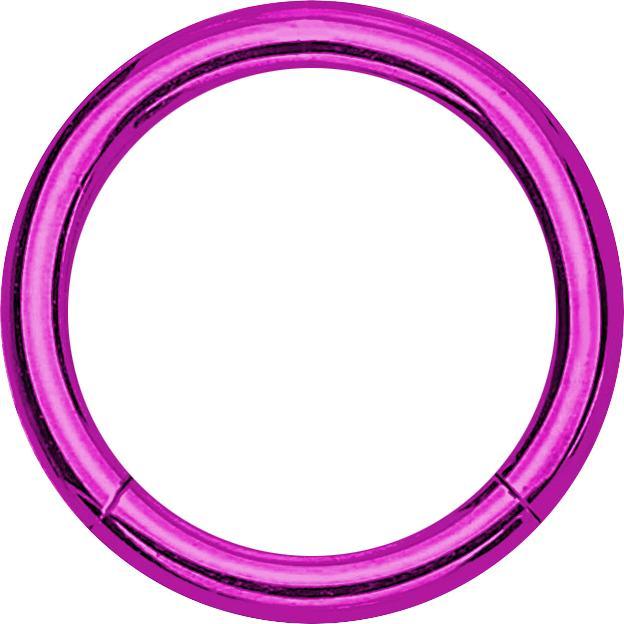 Produktbild Star Piercing Micro Segmentring violett (Titan G23)