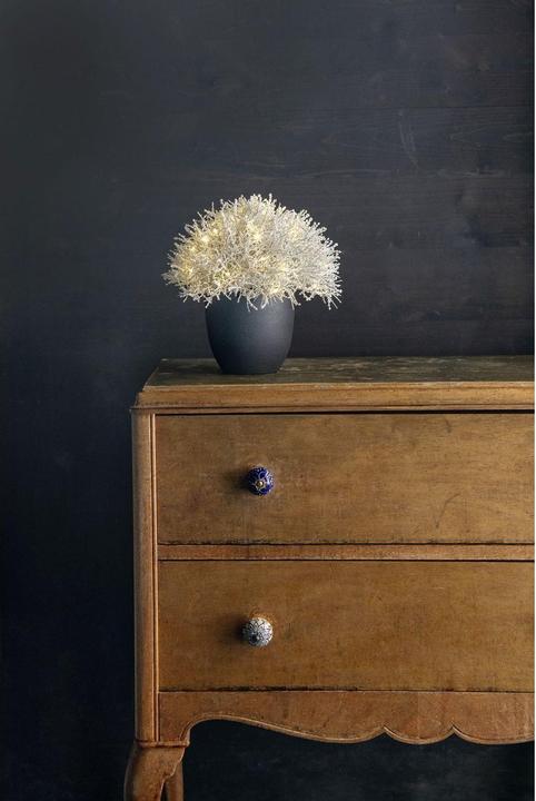 Actual product image STT Calo 27