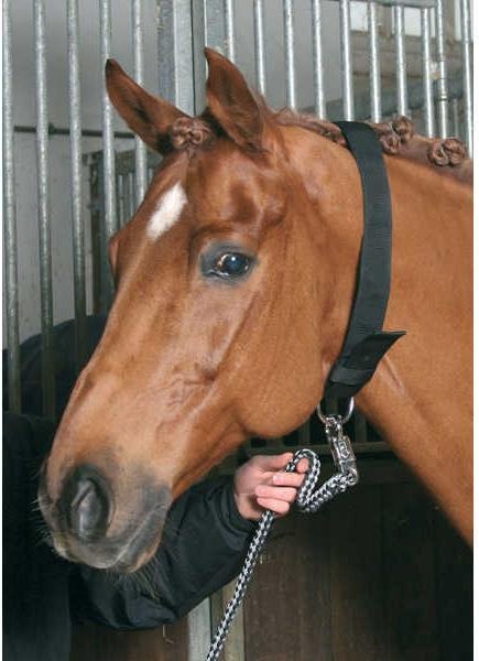 Actual product image Kerbl Neck strap