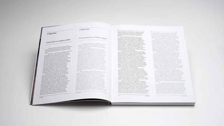 Actual product image Puls 20 (English, Romanian, Călin Dan, Calin Demetrescu Dan, Ruxandra Demetrescu, Simona Vilău, 2024)