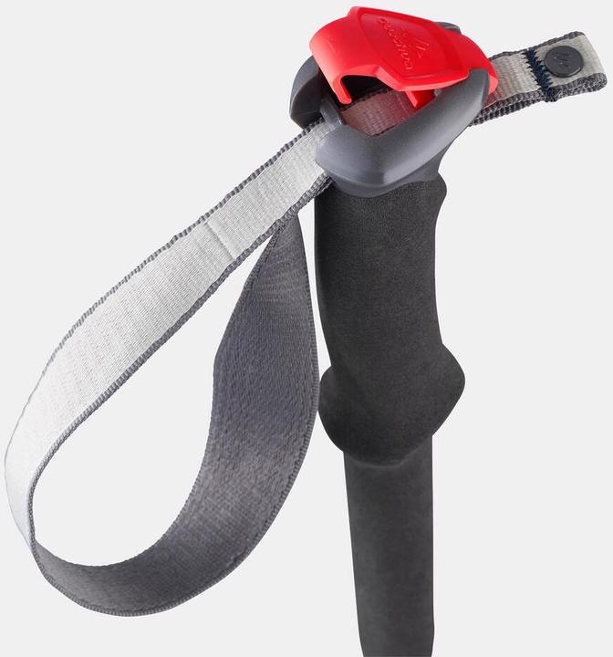 Produktbild Forclaz MT 500 (100 - 115 cm)