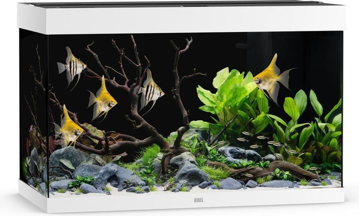 Juwel Aquarium Aquarium Rio 290, weiss (290 l)