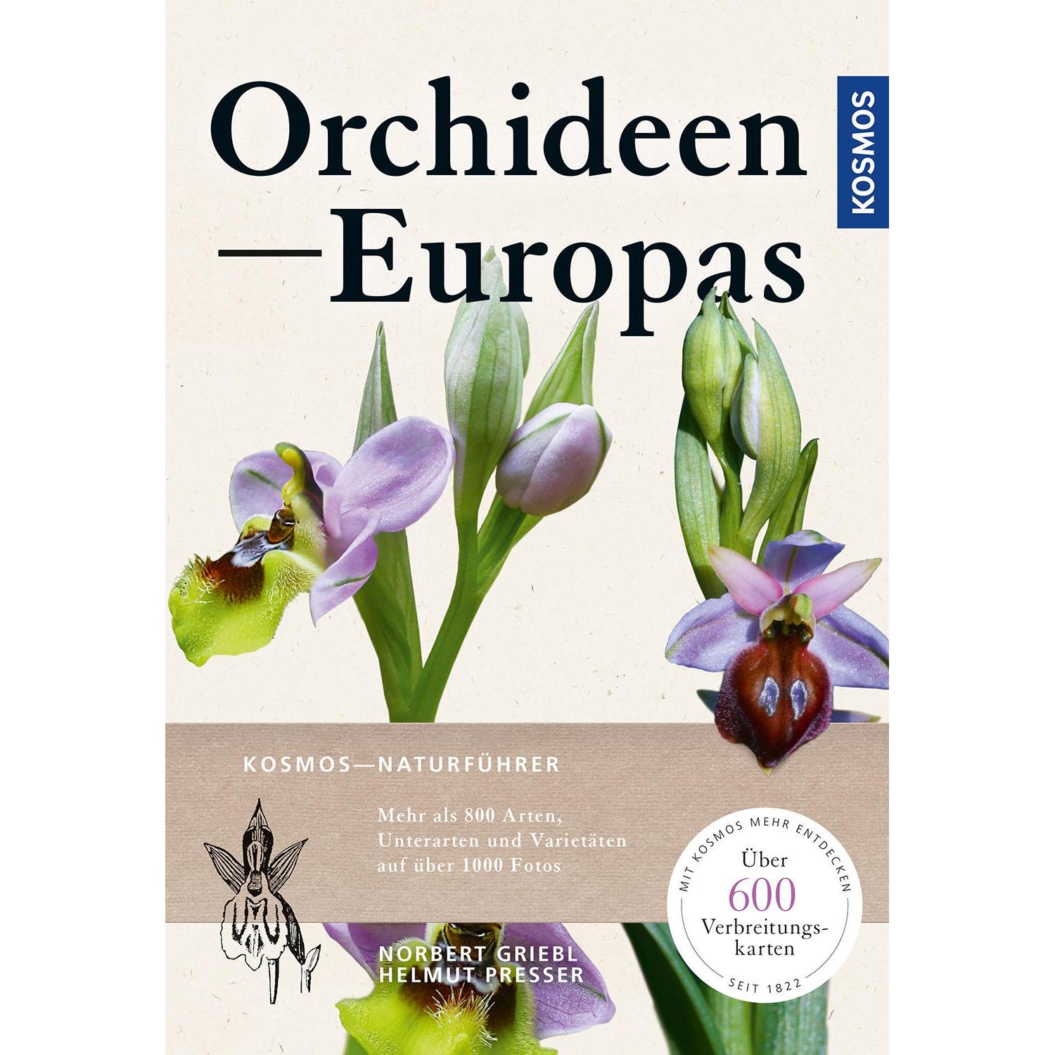 Orchideen Europas, Ratgeber von Norbert Griebl, Helmut Presser