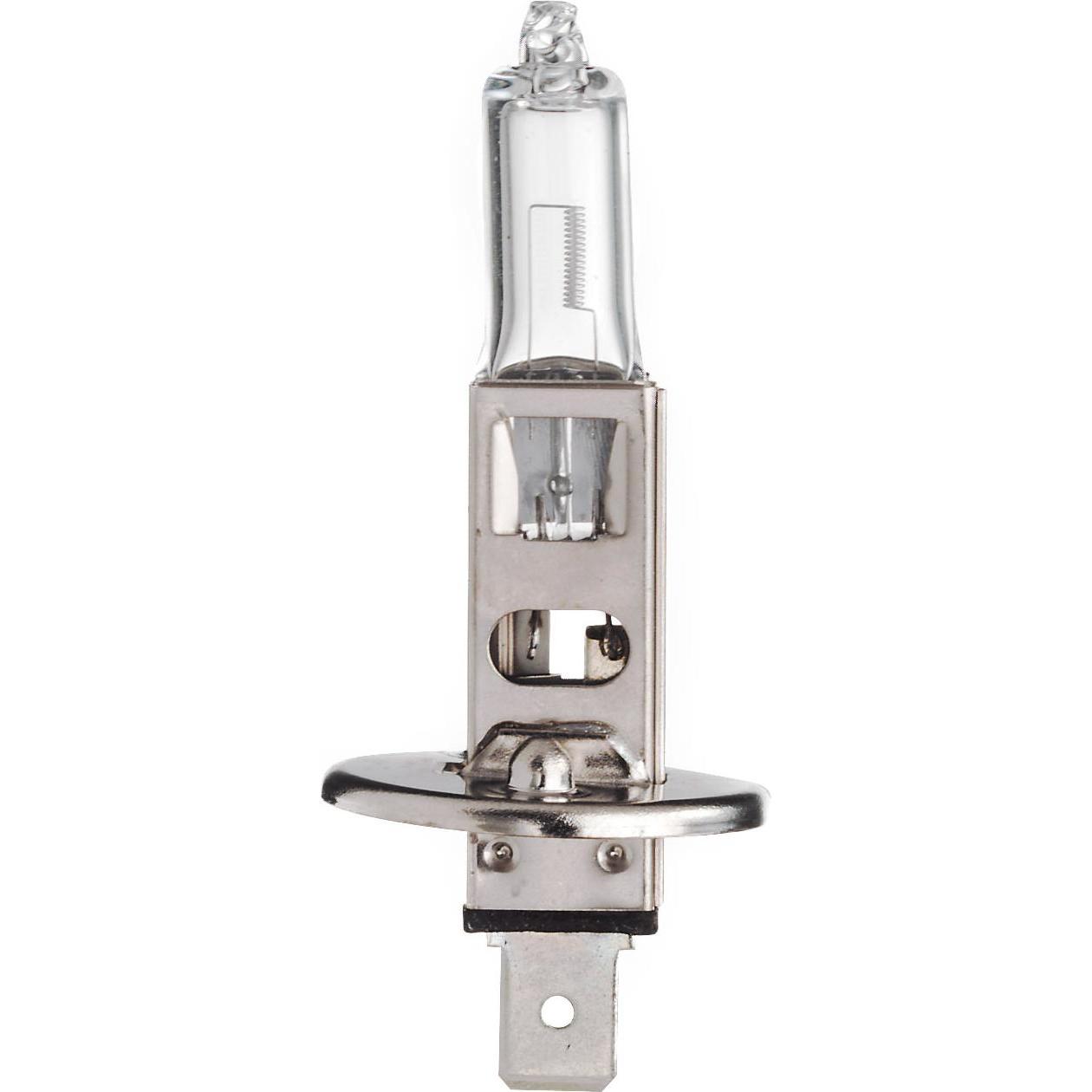 Scharnberger+Hasenbein, Illuminazione auto, Lampada alogena H1 per auto (H1)