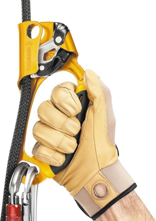 Actual product image Petzl Ascension Right