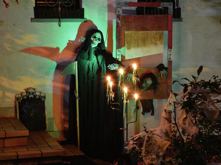 Image du produit Europalms Squelette malléable (1 pièce(s))