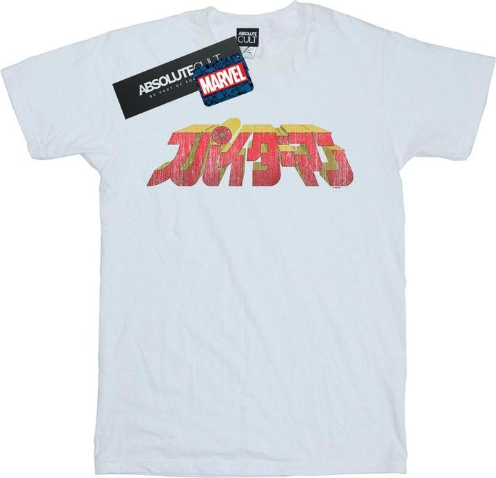 SpiderMan Japanese Logo TShirt (L)