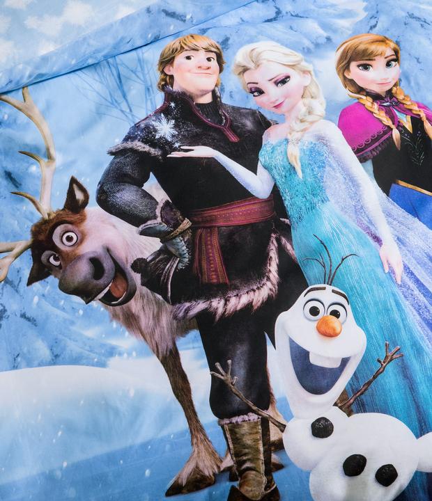 Immagine prodotto Disney Interactive Studios Famiglia congelata