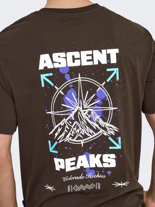 Produktbild Only & Sons Onskeane Rlx Ss Print Tee Noos (L)