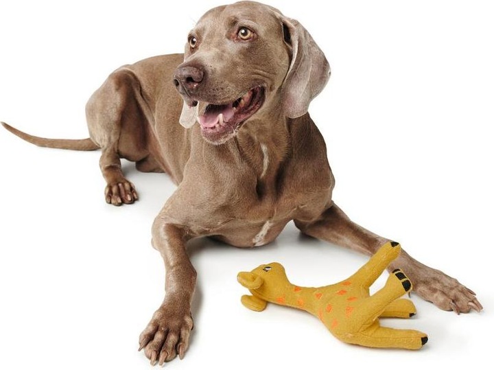 Image du produit Hunter Jouet pour chien Eiby Girafe (Jouet en peluche chien)