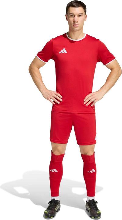 Produktbild Adidas Entrada Shorts (M)