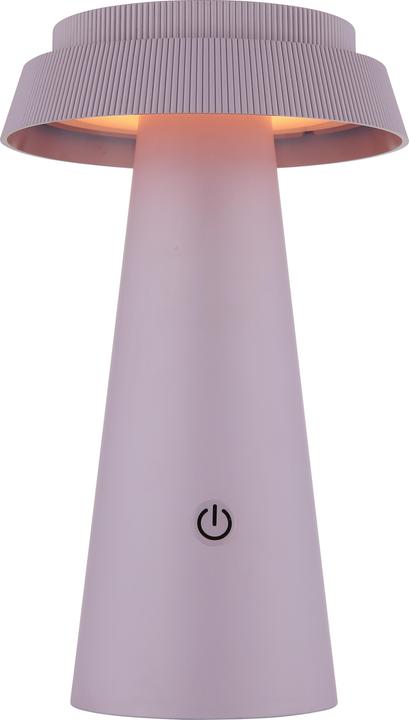 Actual product image Globo Solarleuchte Kunststoff Pink, 1xled (IP54)