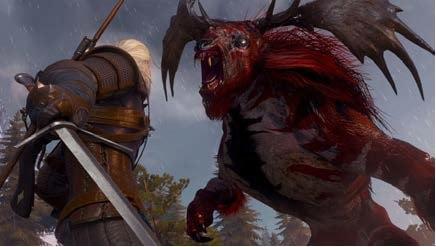 Actual product image Bandai Namco The Witcher III (3): Wild Hunt (Game of The Year Edition) (Xbox Series X, EN)