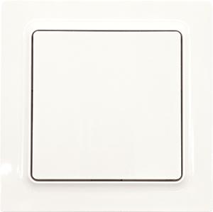 Actual product image Eltako Rocker switch