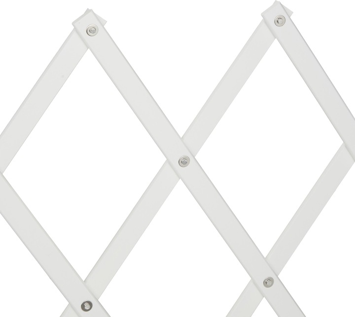 Immagine prodotto Relaxdays Barriera per cani (3 cm)
