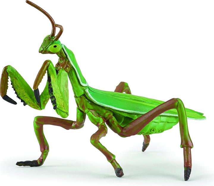 Produktbild Papo Gottesanbeterin